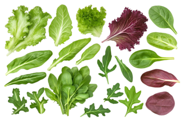 Assorted salad greens with curly lettuce, romaine, and baby spinach, floating on a white background, isolated with clipping path, ultra-clear textures, and perfect lighting