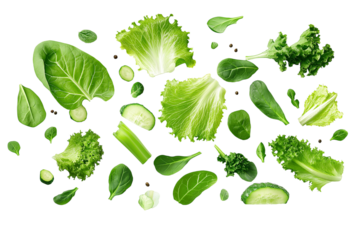Assorted salad greens with curly lettuce, romaine, and baby spinach, floating on a white background, isolated with clipping path, ultra-clear textures, and perfect lighting