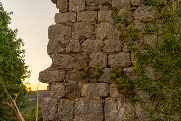 fantasy ancient stone walls with ivy