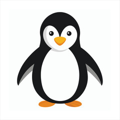 penguin on a white