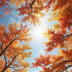Vibrant autumn leaves and branches stretching towards a bright sunny sky , nature landscape, scenery