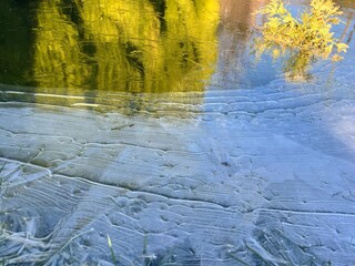 Trees reflection on the ice