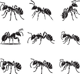 set of insects