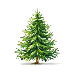 A beautiful green bush tree isolated on a white background