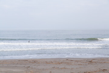 beach and surfer in pacific ocean of chiba