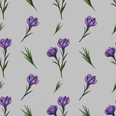 Spring Purple Crocuses with Leaves in Small Design on Gray Background