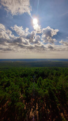 clouds over the forest