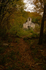 ruins of an ancient church in an autumn forest.