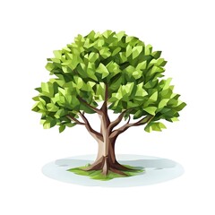 A beautiful green bush tree isolated on a white background