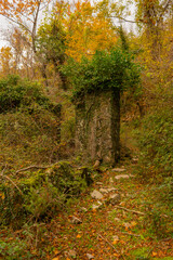 Fototapeta premium Ruined castle walls in the forest
