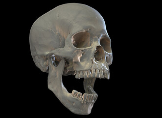 Human skull on Rich Colors a Black Isolated Background. The concept of death, horror. A symbol of spooky Halloween. poster, banner, wallpaper, mystic. Design material. 3d rendering illustration.