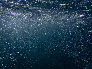 Air bubbles underwater rising to water surface, natural scene, bubbles under water, bubble undersea, sea in crystal clear green water. Real image very suitable for backgrounds, Great for background.