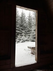 view from the window