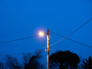 Light pole and electric wires in the evening