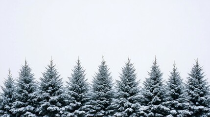 Fototapeta premium Blurry Snowfall Against Dark Evergreen Forest in Winter Wonderland