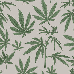 Seamless pattern with hand drawn sketch of Cannabis. Vector illustration of leaves and plant Hemp. Botanical drawing of Medical Marijuana foliage. Vintage engraved style
