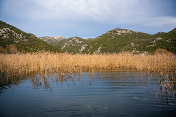 Trees and reeds on River Crnojevica, place near Lake Skadar in Montenegro surrounded by mountain peaks in winter time