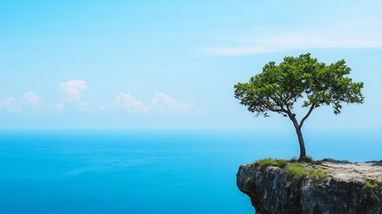 Lone Tropical Tree Perched on Cliff Overlooking the Ocean