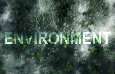 Aerial view of forest with text Environment.Ecosystem and healthy environment. Texture of green tree forest with clouds.
