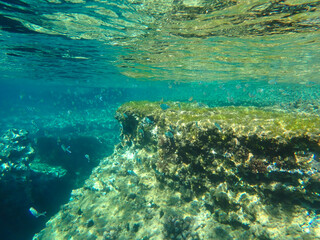 Dark blue ocean surface seen from underwater. Abstract waves underwater and rays of sunlight...