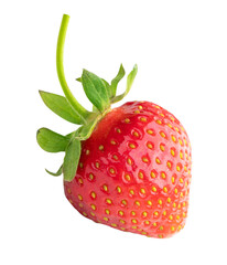 Fresh strawberry isolated on white background