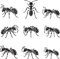 set of insects