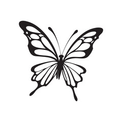Simple illustration of big butterfly vector icon