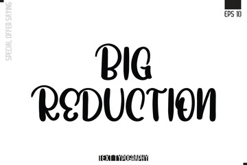Big Reduction Special Offer Typography Text Script Lettering Design