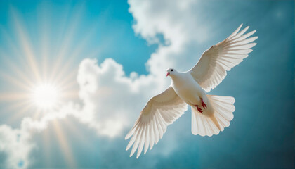 Dove flying against a bright sky, Day of Remembrance for the Victims Genocide in World War II