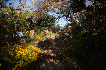 Mountain hiking trail to climb Mount Picacho in the Oaxaca Valley in Mexico.