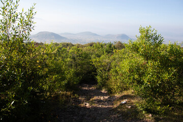 Mountain hiking trail to climb Mount Picacho in the Oaxaca Valley in Mexico.