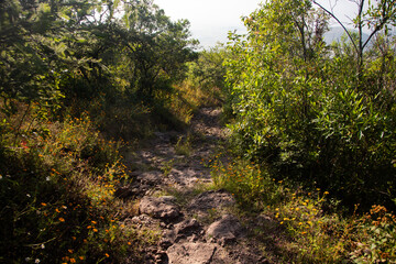 Mountain hiking trail to climb Mount Picacho in the Oaxaca Valley in Mexico.
