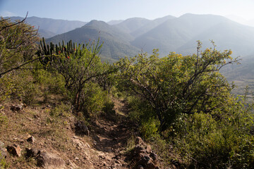 Mountain hiking trail to climb Mount Picacho in the Oaxaca Valley in Mexico.