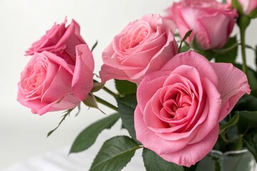 A cluster of delicate pink roses in full bloom, showcasing their soft petals and vibrant color