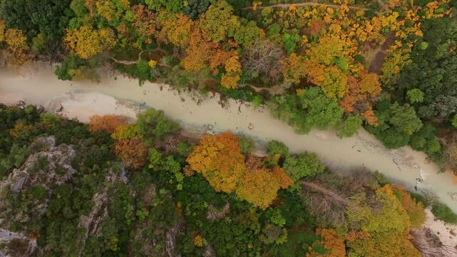 Aerial view of Acheron Springs with colorful autumn foliage and a serene river flowing through the canyon, Epirus, Greece.