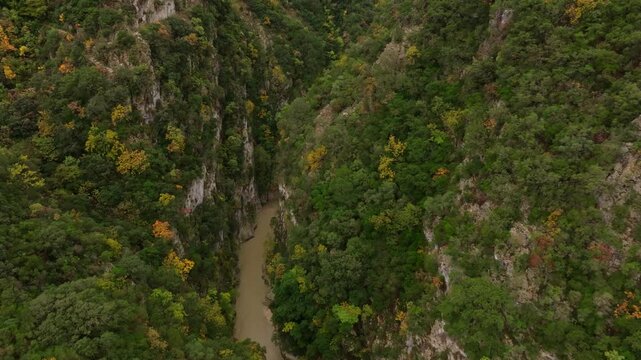 Aerial view of Acheron Springs with lush green foliage and serene river flowing through the canyon, Epirus, Greece.