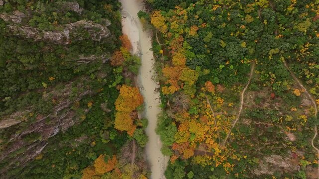 Aerial view of the tranquil Acheron Springs with vibrant autumn foliage and rugged canyon, Epirus, Greece.