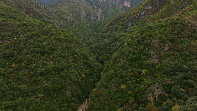 Aerial view of lush Acheron Springs and the serene Canyon Acheron with a river winding through a picturesque forest, Epirus, Greece.