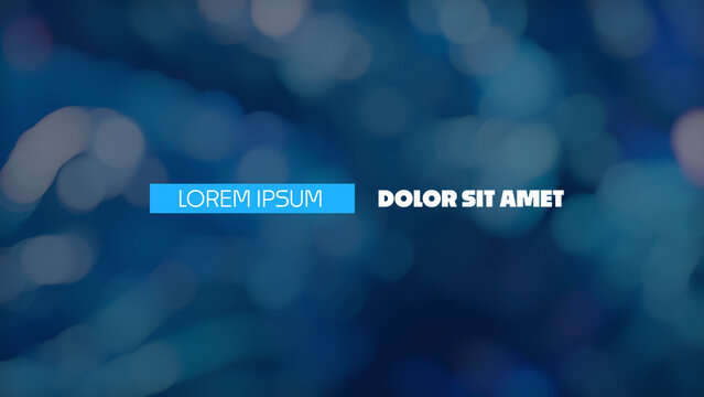 Elegant and Minimal Text Motion Design for Projects | Bring Nature Documentaries to Life with These Animations