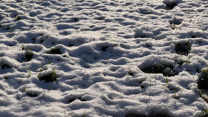Melting snow covering grassy field with patches of sunlight highlighting the transition from winter to spring