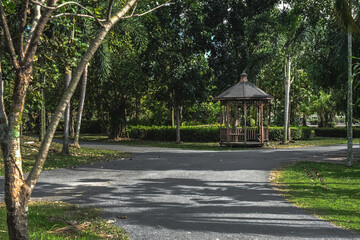 The shade of trees along the walkway in the public park. A place to rest and jogging.