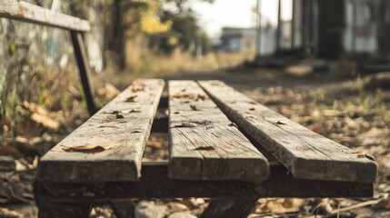 Fototapeta premium Weathered wooden park bench with autumn leaves.