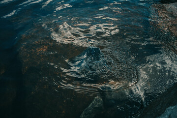 Finnish summer day at the lake