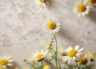 Obraz premium Blurred yellow petals of chamomile flowers against a light background, delicate blooms, summer wildflowers, natural beauty