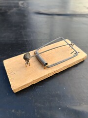 mousetrap and sunflower seeds