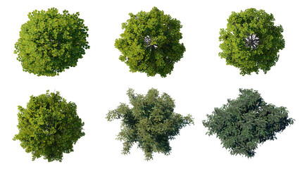 tree top view plant landscape architecture nature garden aerial render. trees branch isolate...