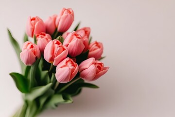 Lovely bouquet of pink tulips arranged elegantly on a neutral background for spring decoration