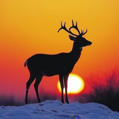 Majestic Deer Silhouette Against Vibrant Sunset, Tranquil Wildlife Scene in Winter Setting