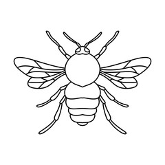 black and white bee symbol illustration image. bee for farm logo identity. bee line illustration