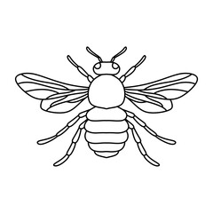 black and white bee symbol illustration image. bee for farm logo identity. bee line illustration